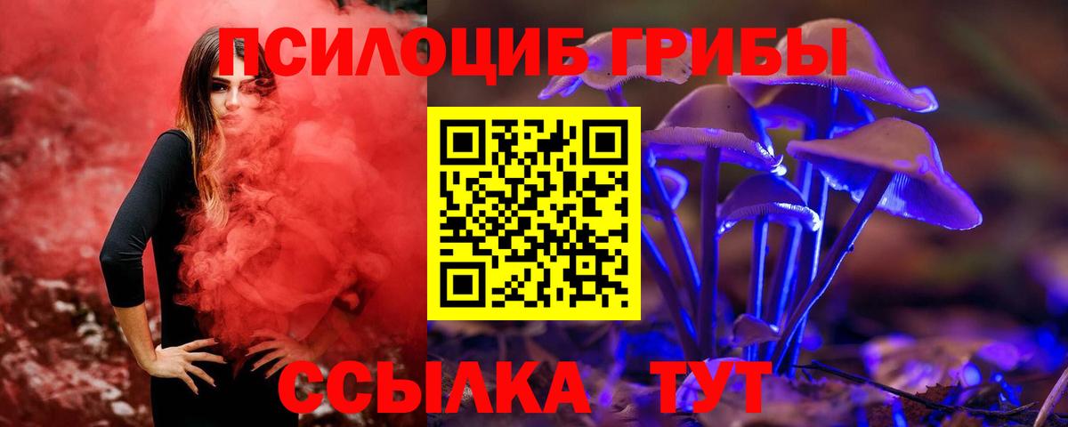 Псилоцибиновые грибы мицелий Белебей
